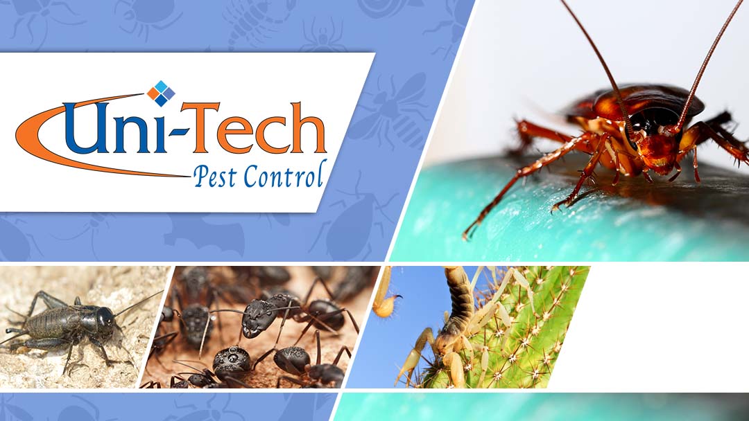 Uni-Tech Pest Control project